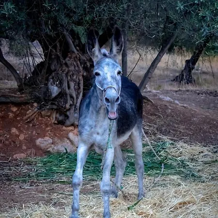 Deseada Periana