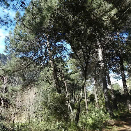 Alojamento de Acomodação e Pequeno-almoço Deseada *