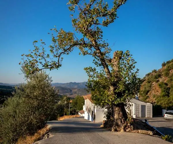 Deseada Bed & Breakfast